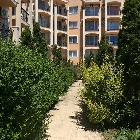Sun -byala Sp